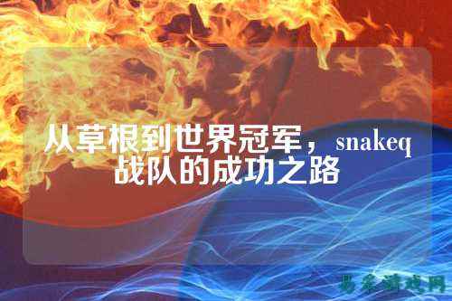 从草根到世界冠军，snakeq战队的成功之路