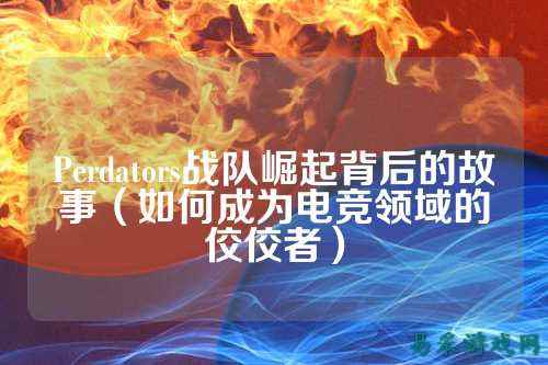 Perdators战队崛起背后的故事（如何成为电竞领域的佼佼者）