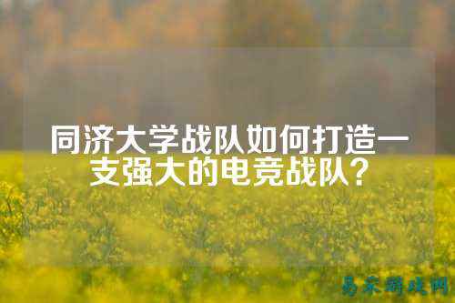 同济大学战队如何打造一支强大的电竞战队？