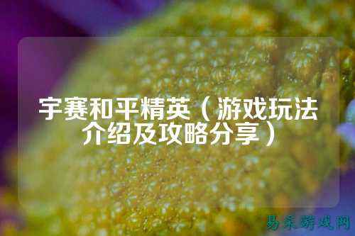 宇赛和平精英（游戏玩法介绍及攻略分享）