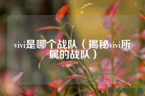 vivi是哪个战队（揭秘vivi所属的战队）