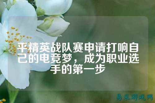 平精英战队赛申请打响自己的电竞梦,成为职业选手的第一步