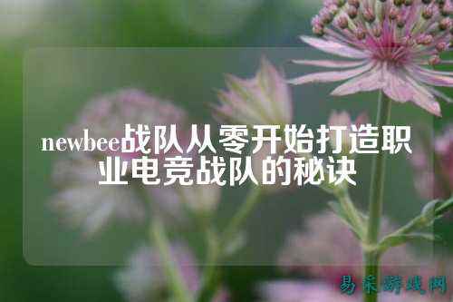newbee战队从零开始打造职业电竞战队的秘诀