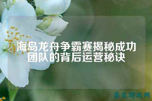 海岛龙舟争霸赛揭秘成功团队的背后运营秘诀