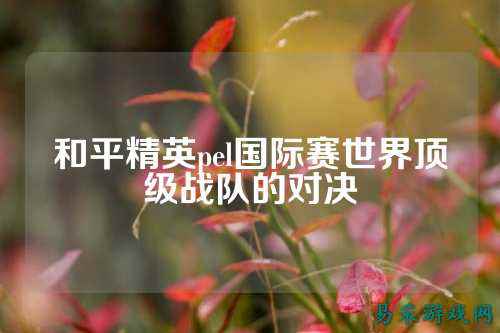 和平精英pel国际赛世界顶级战队的对决