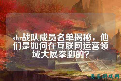 shr战队成员名单揭秘，他们是如何在互联网运营领域大展拳脚的？