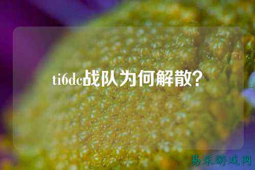 ti6dc战队为何解散？