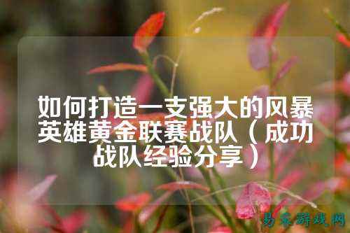 如何打造一支强大的风暴英雄黄金联赛战队（成功战队经验分享）