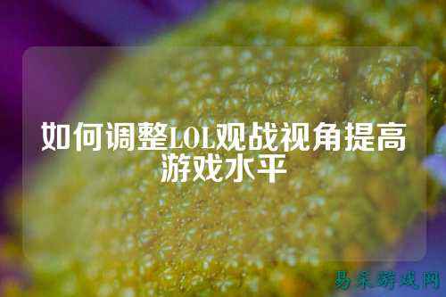 如何调整LOL观战视角提高游戏水平