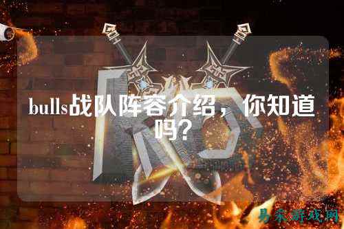 bulls战队阵容介绍，你知道吗？