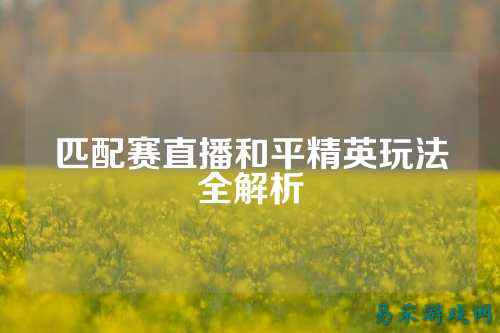 匹配赛直播和平精英玩法全解析