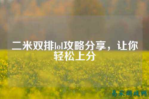 二米双排lol攻略分享,让你轻松上分