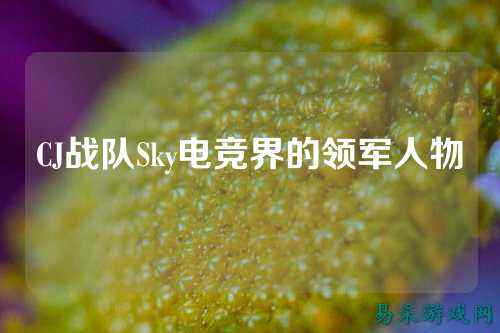 CJ战队Sky电竞界的领军人物