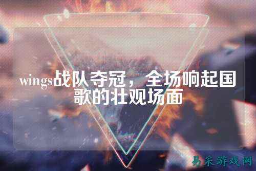 wings战队夺冠，全场响起国歌的壮观场面
