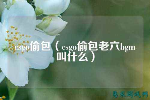 csgo偷包（csgo偷包老六bgm叫什么）