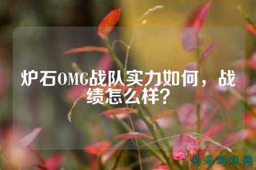 炉石OMG战队实力如何，战绩怎么样？