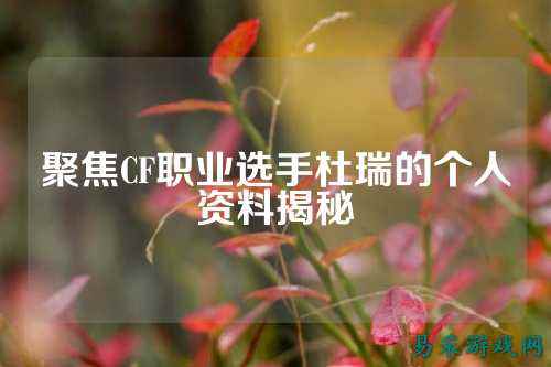 聚焦CF职业选手杜瑞的个人资料揭秘