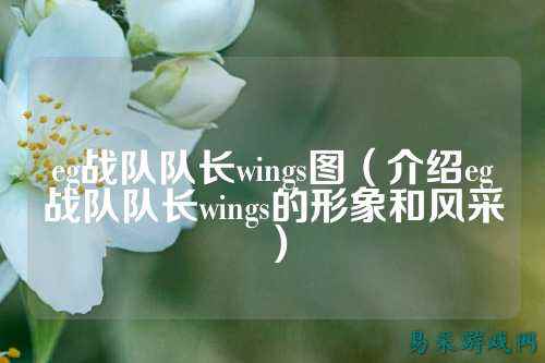 eg战队队长wings图（介绍eg战队队长wings的形象和风采）