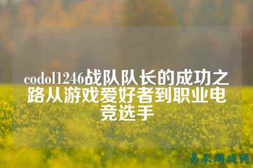 codol1246战队队长的成功之路从游戏爱好者到职业电竞选手