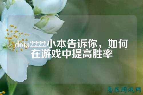 dota2222小本告诉你,如何在游戏中提高胜率