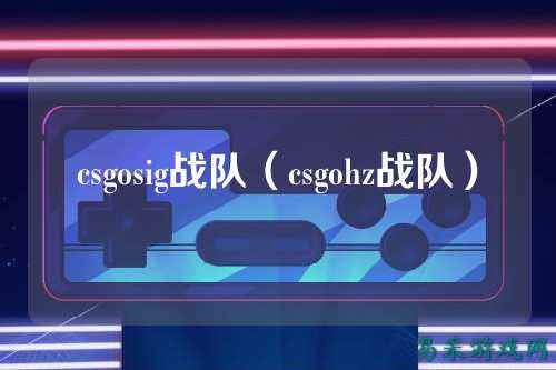csgosig战队(csgohz战队)