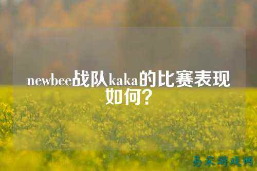newbee战队kaka的比赛表现如何？