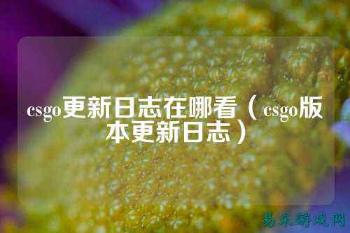 csgo更新日志在哪看(csgo版本更新日志)