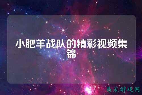 小肥羊战队的精彩视频集锦