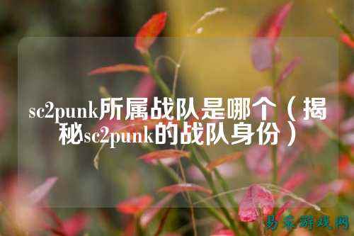 sc2punk所属战队是哪个（揭秘sc2punk的战队身份）