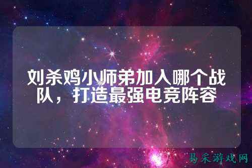 刘杀鸡小师弟加入哪个战队，打造最强电竞阵容