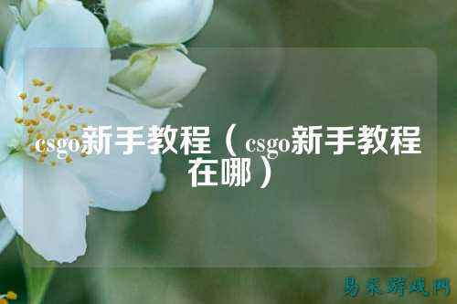 csgo新手教程(csgo新手教程在哪)
