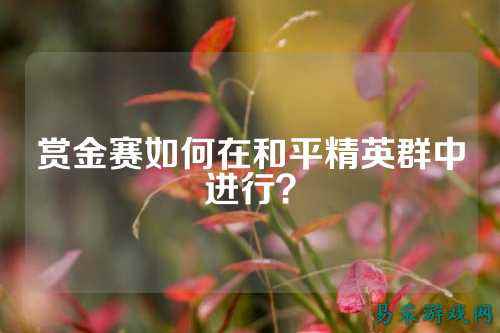 赏金赛如何在和平精英群中进行?