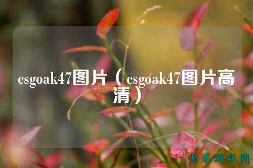 csgoak47图片(csgoak47图片高清)