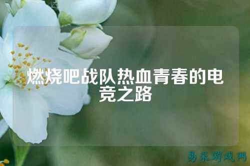 燃烧吧战队热血青春的电竞之路