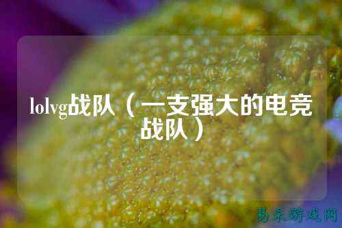 lolvg战队（一支强大的电竞战队）
