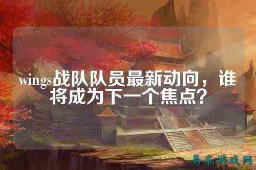 wings战队队员最新动向，谁将成为下一个焦点？