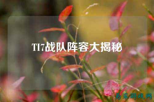 TI7战队阵容大揭秘