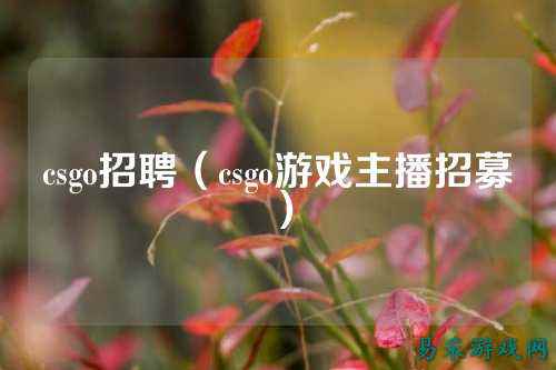 csgo招聘（csgo游戏主播招募）