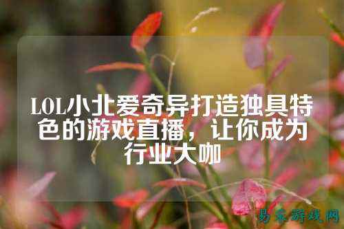 LOL小北爱奇异打造独具特色的游戏直播，让你成为行业大咖