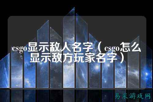 csgo显示敌人名字（csgo怎么显示敌方玩家名字）
