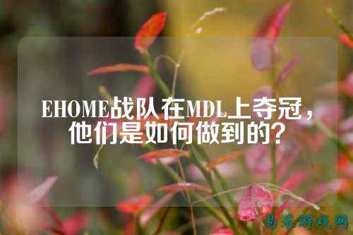 EHOME战队在MDL上夺冠，他们是如何做到的？