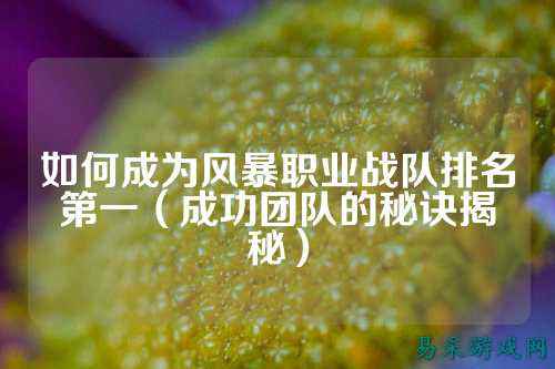 如何成为风暴职业战队排名第一（成功团队的秘诀揭秘）