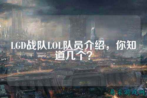 LGD战队LOL队员介绍，你知道几个？