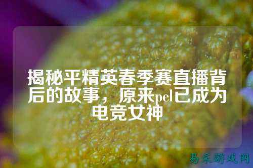 揭秘平精英春季赛直播背后的故事，原来pel已成为电竞女神