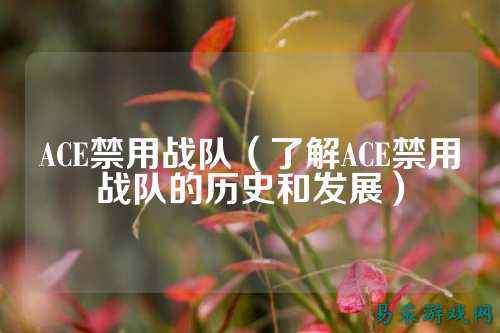 ACE禁用战队（了解ACE禁用战队的历史和发展）
