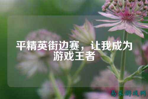 平精英街边赛，让我成为游戏王者