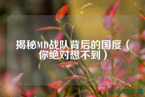 揭秘MD战队背后的国度（你绝对想不到）