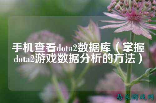 手机查看dota2数据库（掌握dota2游戏数据分析的方法）