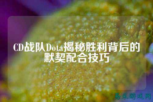 CD战队Dota揭秘胜利背后的默契配合技巧