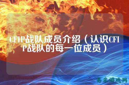 CFIP战队成员介绍（认识CFIP战队的每一位成员）